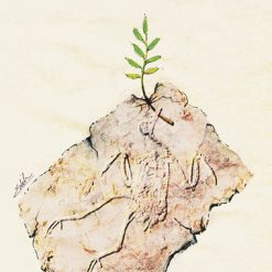 Let Peace Survive -P953