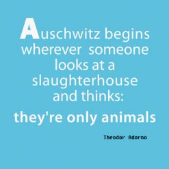 They're Only Animals - P907