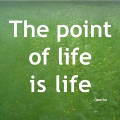 Life - P946