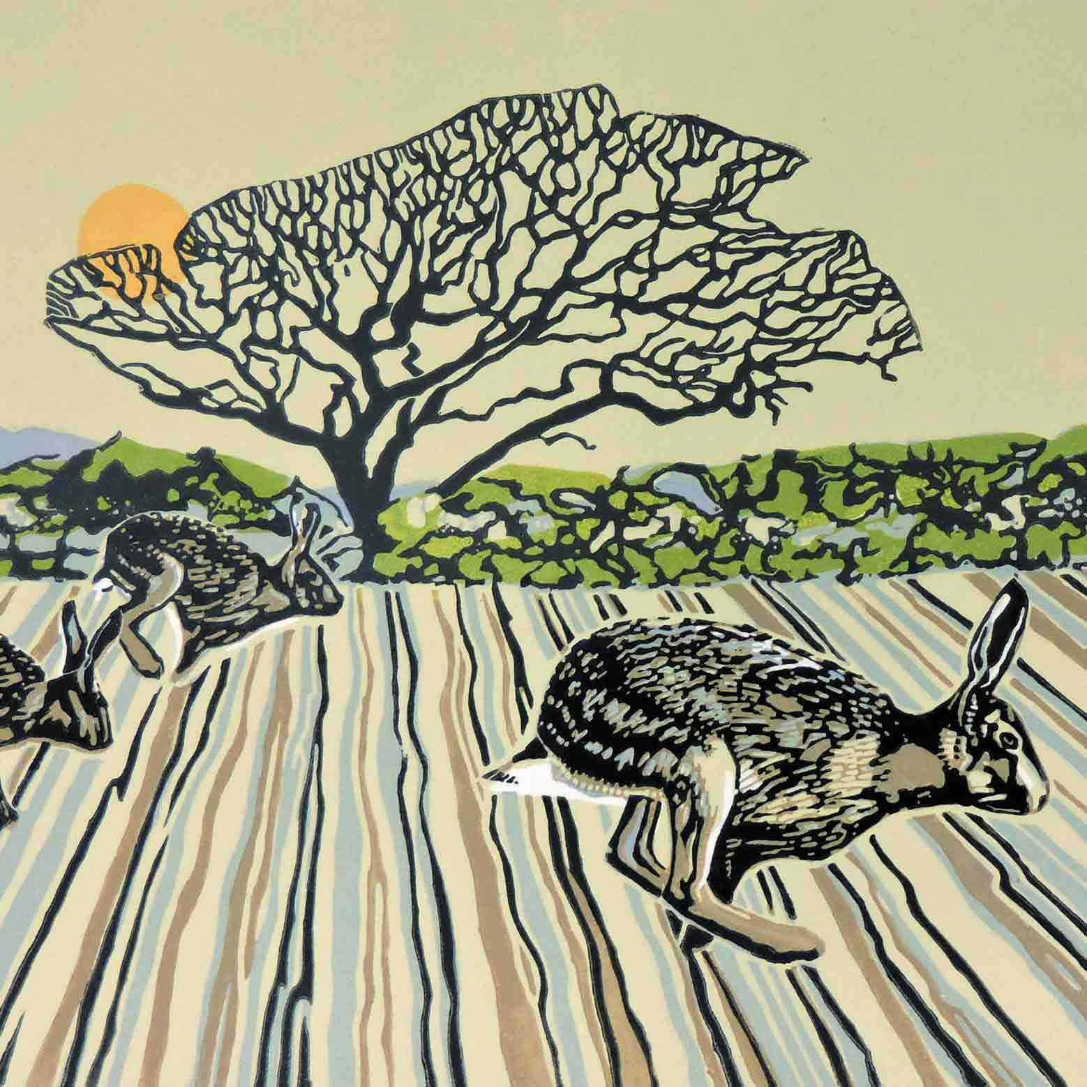 Alexander and the racing hares - Greeting Card