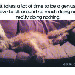 To be a genius P1087